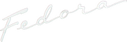 Logo of Fedora image size 792x260