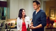 Cougar Town season 6 episode 4