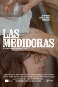 poster Las medidoras