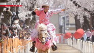 Yabusame Horseback Archer: Kamimura Ayuko