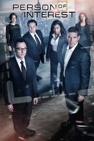 Poster of Person of Interest image size 867x1300