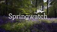 Springwatch  
