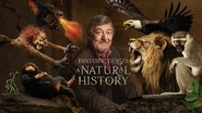 Backdrop of Fantastic Beasts: A Natural History image size 3840x2160