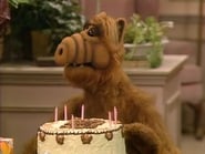 Alf season 1 episode 7