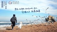 陪安东尼度过漫长岁月 wallpaper 