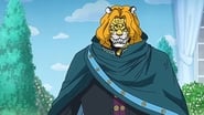 serie One Piece saison 19 episode 816 en streaming