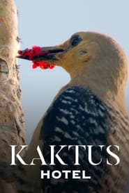 poster Kaktus Hotel
