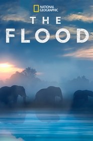 poster The Flood
