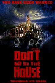 Poster of Don't Go in the House image size 960x1440