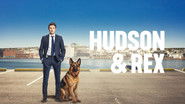 Backdrop of Hudson & Rex image size 3840x2160