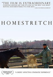 Homestretch poster