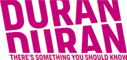 Logo of Duran Duran: There's Something You Should Know image size 1419x674