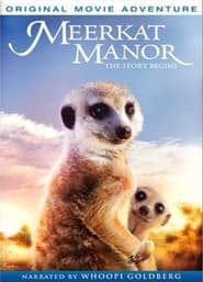 Meerkat Manor: The Story Begins 2008 123movies