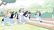 Bluey season 1 episode 9