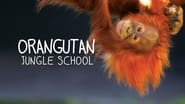 Orangutan Jungle School  