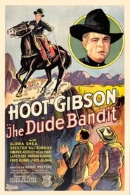 poster The Dude Bandit