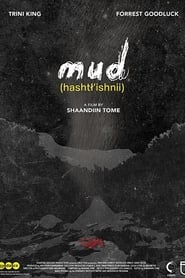 Mud