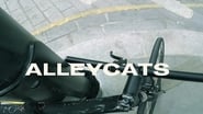 Alleycats wallpaper 