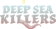 Logo of Deep Sea Killers image size 2461x1300