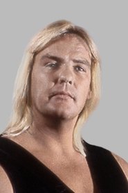 Barry Windham Photo of Barry Windham image size 666x1000
