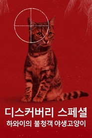 디스커버리 스페셜: 하와이의 불청객, 야생고양이