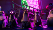Seal Team: Une équipe de phoques! wallpaper 