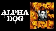 Alpha Dog wallpaper 