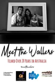 poster Meet the Wallers