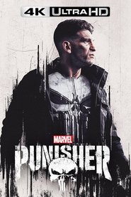 Poster of Marvel's The Punisher image size 667x1000