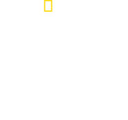 Logo of Inside the SS image size 1379x1292