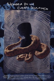 poster Memory of a Displaced Body