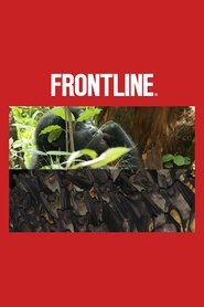 Uganda: Out of the Wild
