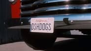 Dish Dogs wallpaper 