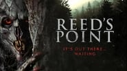 Reed's Point wallpaper 