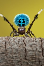 gallery-thumbnail