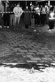 Murder in Stockholm
