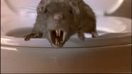 Les Rats wallpaper 