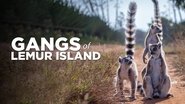 Backdrop of Gangs of Lemur Island image size 1280x720