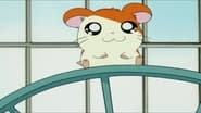 Hamtaro - P'tits hamsters, grandes aventures  