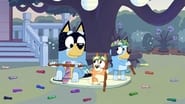 Bluey season 2 episode 10