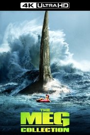 Poster image size 1000x1500