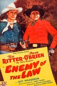 Poster of Enemy of the Law image size 948x1422
