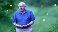 Attenborough's Life That Glows wallpaper 