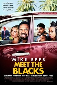 Poster of Meet the Blacks image size 1000x1481