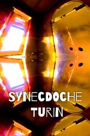 poster Synecdoche Turin