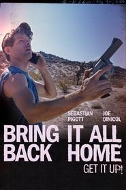 poster Bring It All Back Home