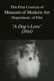 Poster of A Dog's Love image size 501x751