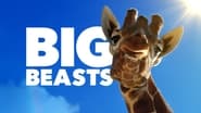 Big Beasts : sur les traces des géants  