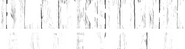 Logo of Blackstock Boneyard image size 4292x1140
