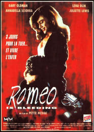 Voir film Romeo Is Bleeding en streaming